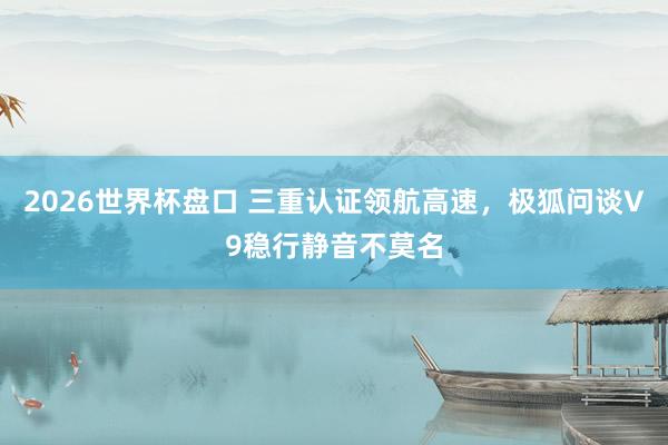 2026世界杯盘口 三重认证领航高速,极狐问谈V9稳行静音不莫名
