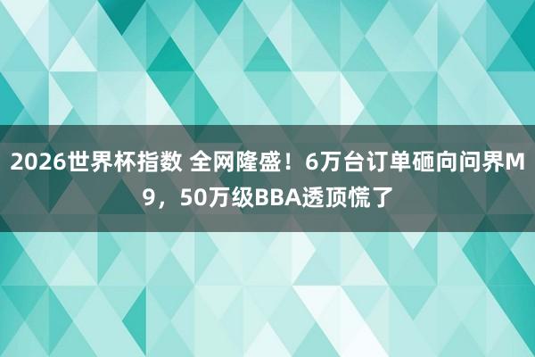 2026世界杯欧赔 全网容许!6万台订单砸向问界M9,50万级BBA透彻慌了