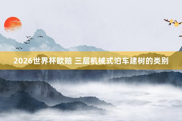 2026世界杯欧赔 三层机械式泊车建树的类别