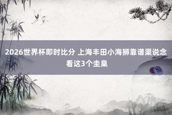 2026世界杯即时比分 上海丰田小海狮靠谱渠说念 看这3个圭臬