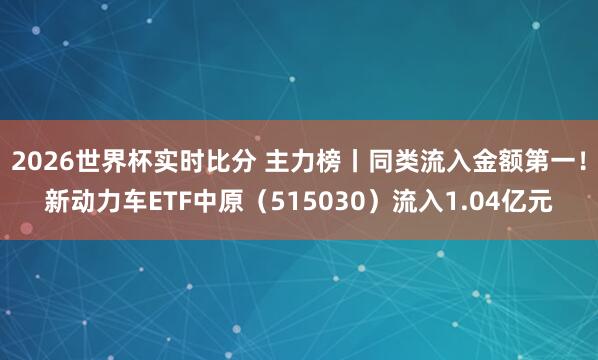 2026世界杯实时比分 主力榜丨同类流入金额第一!新动力车ETF中原(515030)流入1.04亿元