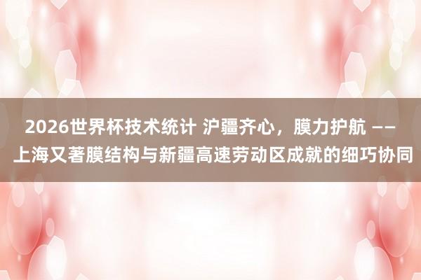 2026世界杯技术统计 沪疆齐心,膜力护航 —— 上海又著膜结构与新疆高速劳动区成就的细巧协同