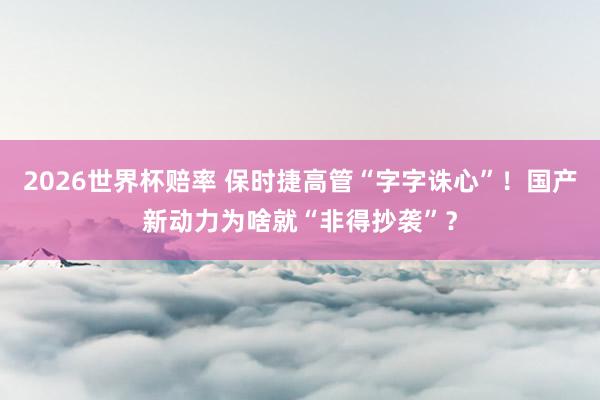 2026世界杯赔率 保时捷高管“字字诛心”!国产新动力为啥就“非得抄袭”?