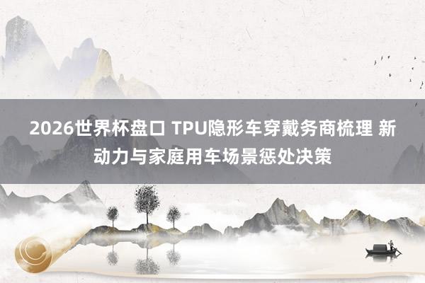 2026世界杯盘口 TPU隐形车穿戴务商梳理 新动力与家庭用车场景惩处决策