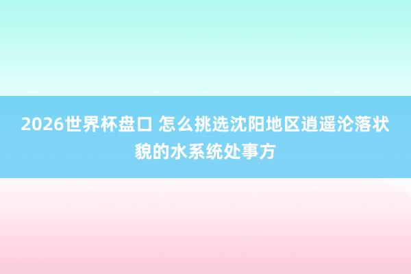 2026世界杯盘口 怎么挑选沈阳地区逍遥沦落状貌的水系统处事方