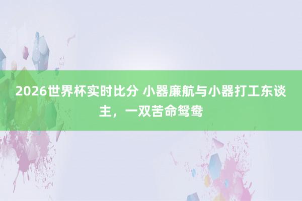 2026世界杯实时比分 小器廉航与小器打工东谈主,一双苦命鸳鸯