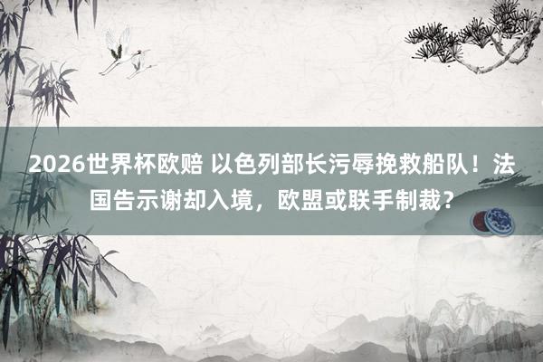 2026世界杯欧赔 以色列部长污辱挽救船队!法国告示谢却入境,欧盟或联手制裁?