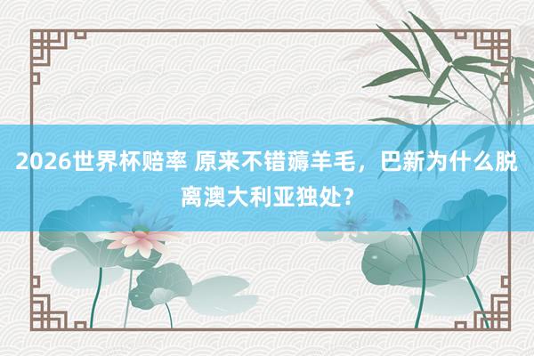 2026世界杯赔率 原来不错薅羊毛,巴新为什么脱离澳大利亚独处?