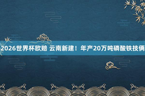2026世界杯欧赔 云南新建!年产20万吨磷酸铁技俩