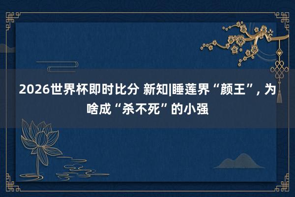 2026世界杯即时比分 新知|睡莲界“颜王”, 为啥成“杀不死”的小强