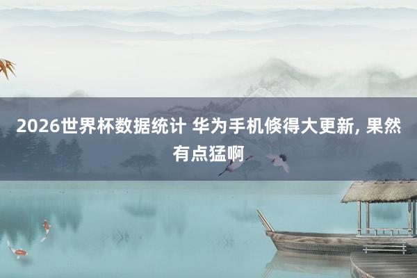 2026世界杯数据统计 华为手机倏得大更新, 果然有点猛啊