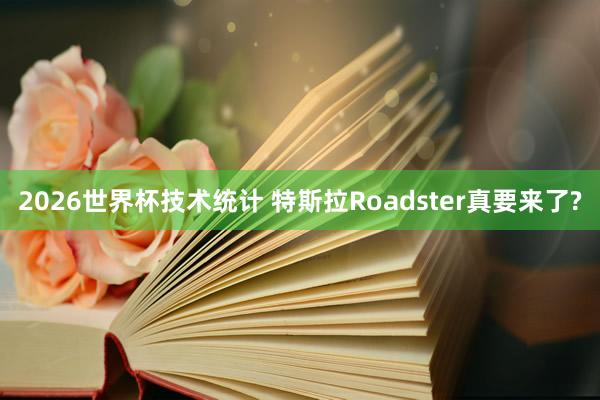 2026世界杯技术统计 特斯拉Roadster真要来了?