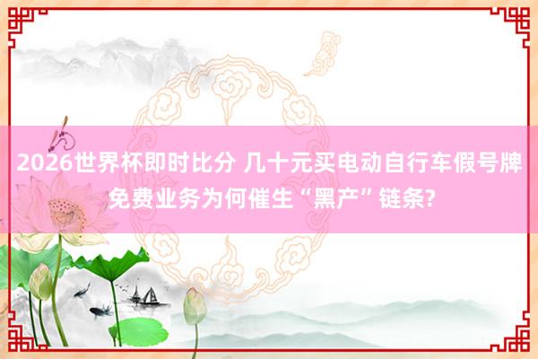 2026世界杯即时比分 几十元买电动自行车假号牌 免费业务为何催生“黑产”链条?