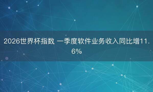 2026世界杯指数 一季度软件业务收入同比增11.6%