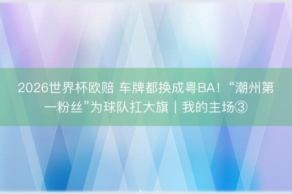 2026世界杯欧赔 车牌都换成粤BA!“潮州第一粉丝”为球队扛大旗|我的主场③