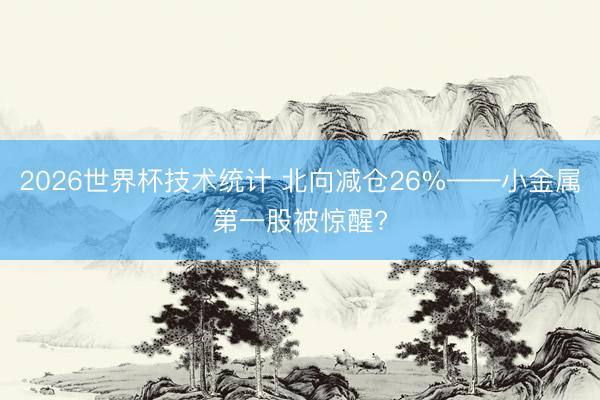 2026世界杯技术统计 北向减仓26%——小金属第一股被惊醒?